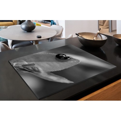 Protège-plaque à induction Plaque Protection Vitrocéramique Induction Vinyl Coccinelle noir et blanc 78x52 cm Couvre Plaque de Cuisson Accessoires de Cuisine