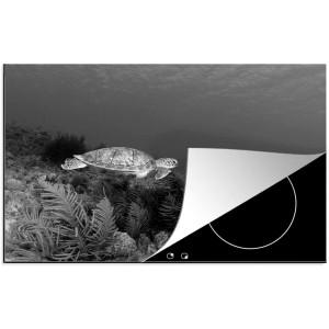Protège-plaque à induction Plaque Protection Vitrocéramique Induction Vinyl Tortue de mer à Bonaire noir et blanc 80x52 cm Couvre Plaque de Cuisson Accessoires de Cuisine