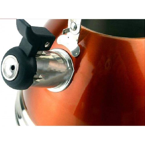 Chenbz Wang bouilloire gaz coloré Whistle 304 bouilloire en acier inoxydable Cuisinière à gaz Cuisinière à induction universelle SS40R1 4L