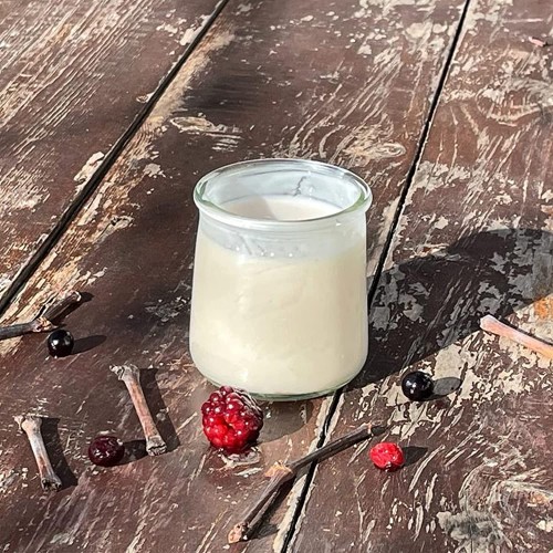 XILMARK Pots yaourt avec couvercle 200 millilitres verres yaourtière pot pour yaourtière verres à dessert pot en verre pot récipient en verre flacon conserves vide